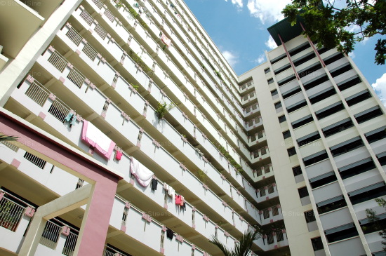Blk 234 Compassvale Walk (Sengkang), HDB 4 Rooms #294802